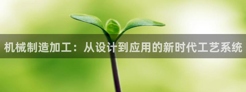 pg电子哪个玩的人最多