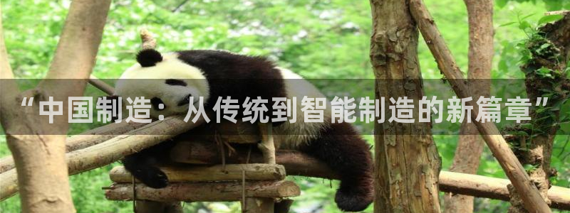 pg电子游戏有哪些