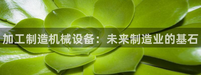 电子pg爆分视频