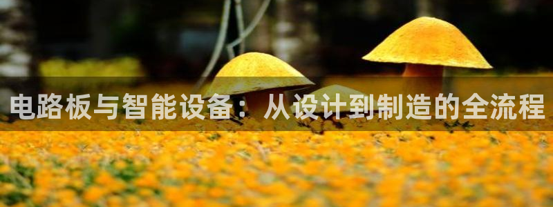 pg电子日月星辰