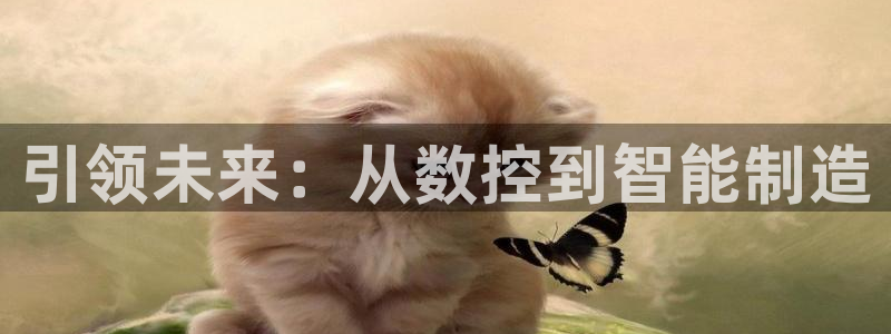 pg电子寻宝黄金城