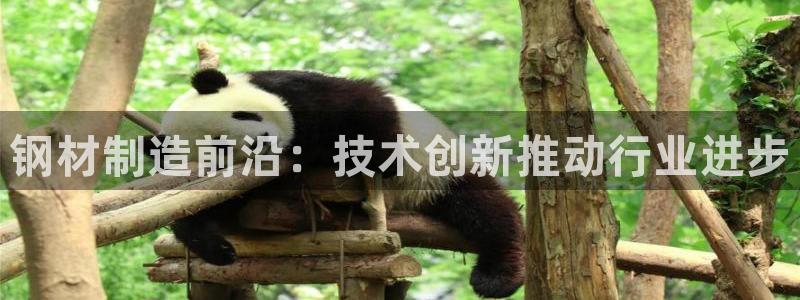 pg电子老是进不去