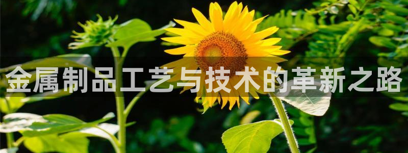 电子游戏PG爆分时间