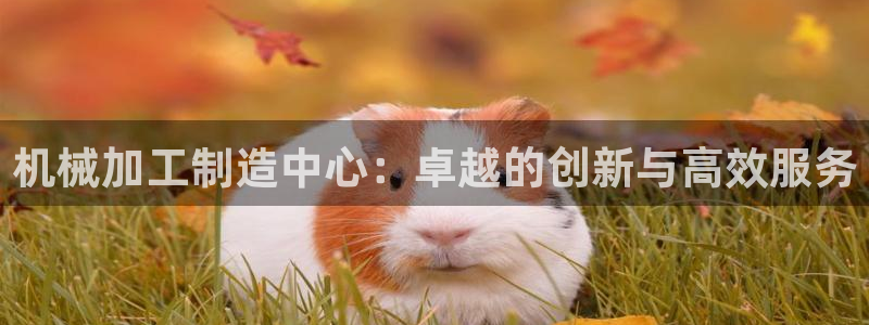 pg电子官方网站