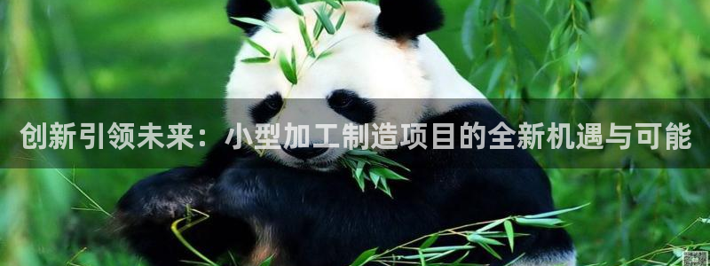 pg电子游戏免费难打