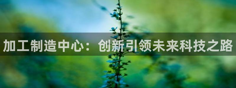 pg电子嘉年华暴分视频