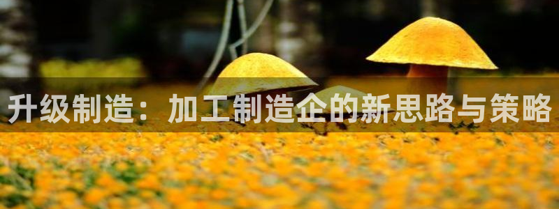 pg电子怎么玩的