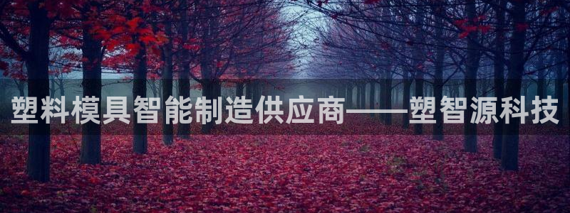 pg电子平台网址大全