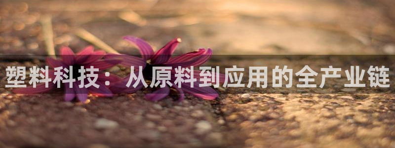 pg电子辅助软件下载