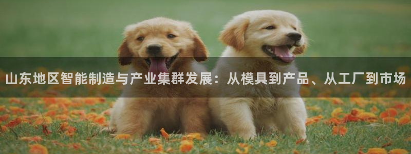 pg电子赏金船长技巧