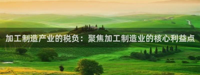 竹子熊猫电子游戏pg