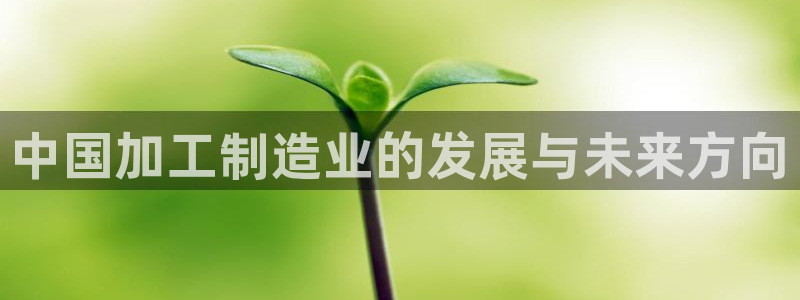 澳门电子pg游戏官网