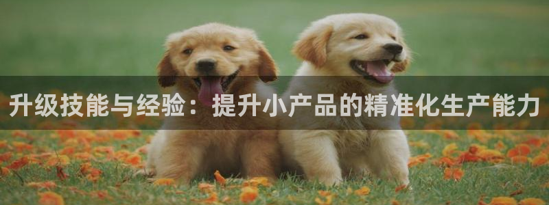 电子pg试玩官网