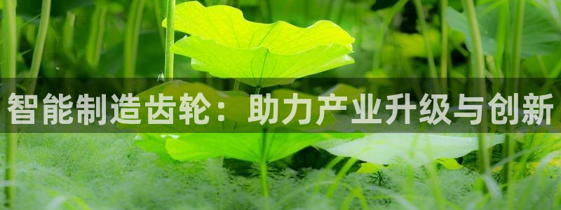 pg电子官方网站