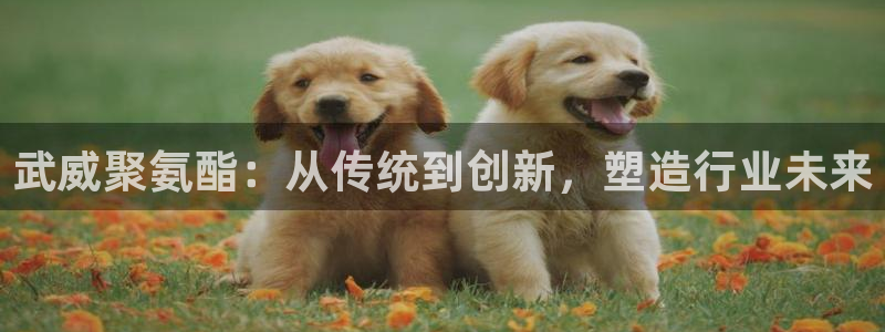 pg电子游戏控制输赢