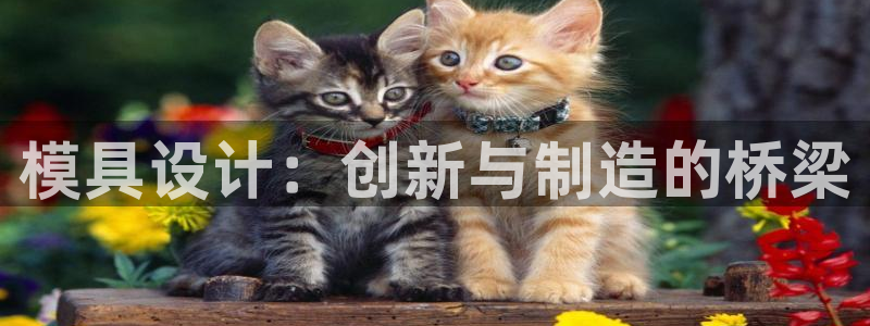 pg电子游艺加速器