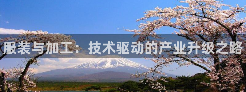 pg电子游戏交流群